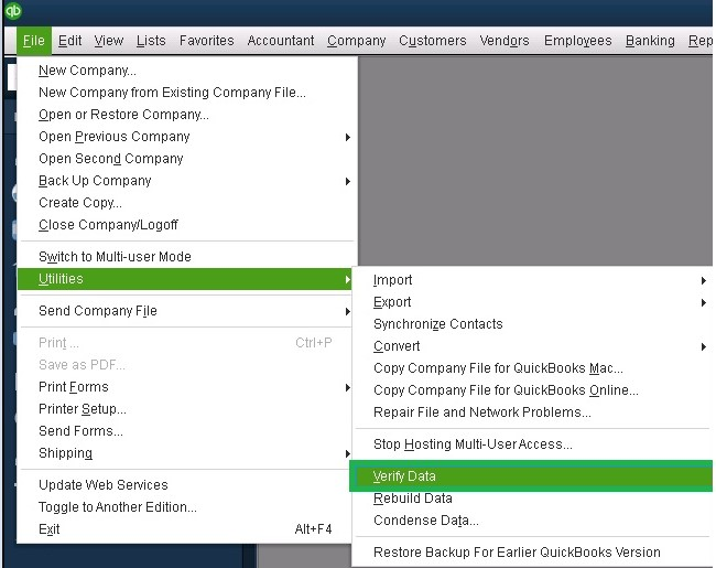 Verifying the company file data